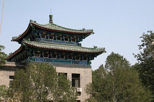 特殊类型