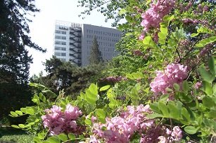 民大海淀校区-大礼堂南侧正立面全景